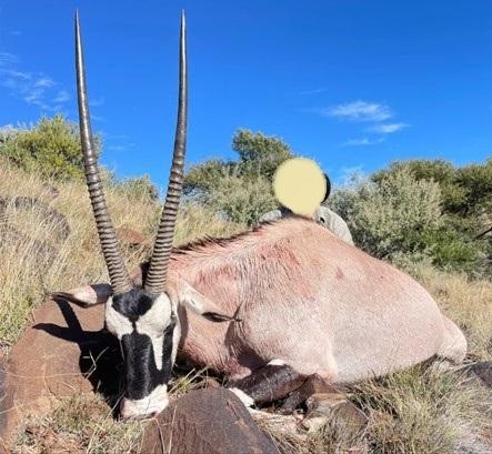 Leopard Hunting in Namibia & Brown Hyena Cancelation Hunt