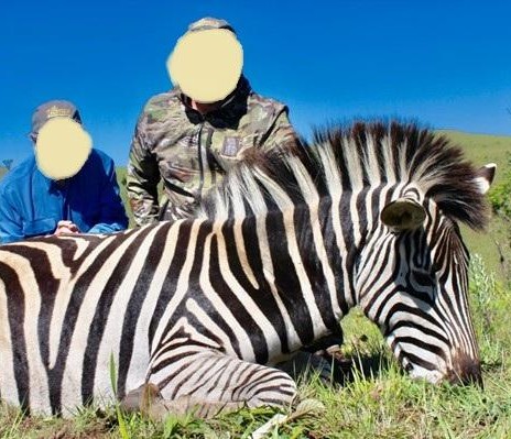 Leopard Hunting in Namibia & Brown Hyena Cancelation Hunt