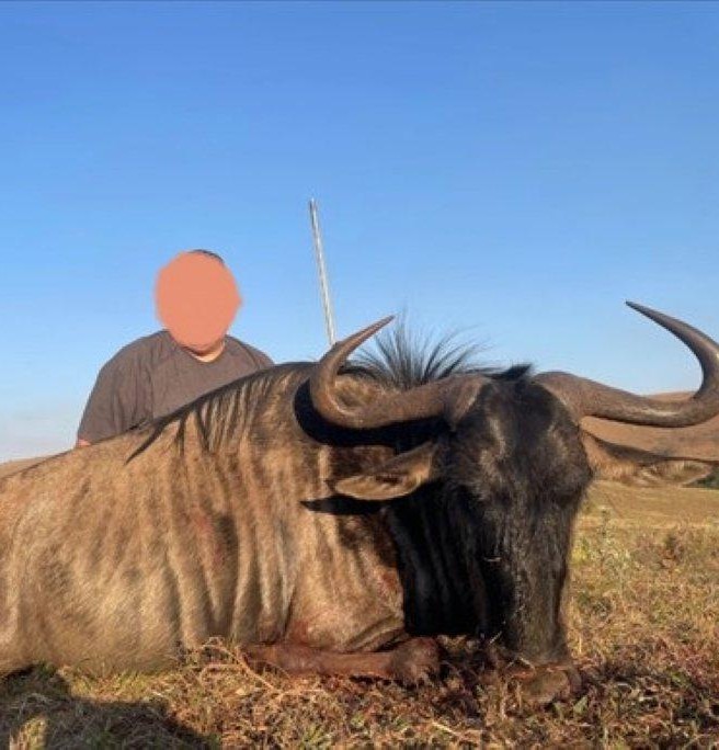 Leopard Hunting in Namibia & Brown Hyena Cancelation Hunt