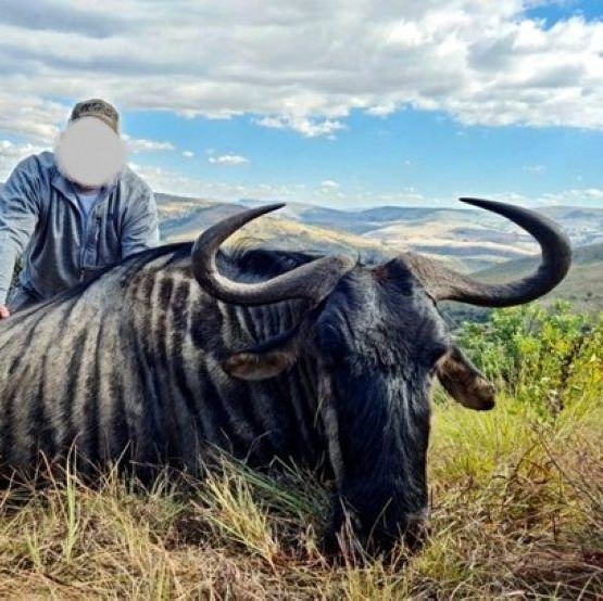 Leopard Hunting in Namibia & Brown Hyena Cancelation Hunt