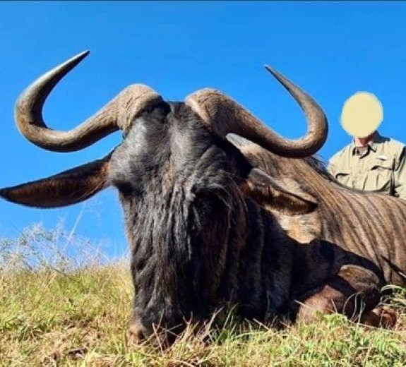 Leopard Hunting in Namibia & Brown Hyena Cancelation Hunt