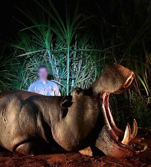 Hippo Hunting Safari 8 x Nights Limpopo, South Africa