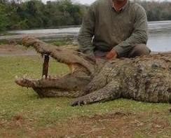 Leopard Hunting in Namibia & Brown Hyena Cancelation Hunt