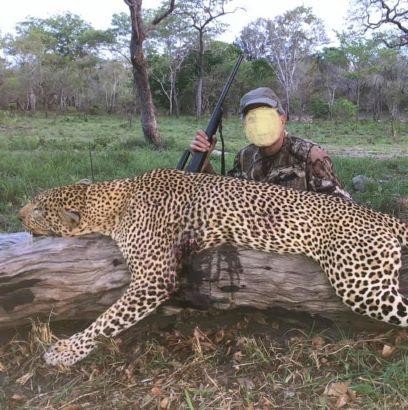 Leopard Hunting in Namibia & Brown Hyena Cancelation Hunt