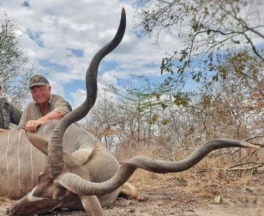 Leopard Hunting in Namibia & Brown Hyena Cancelation Hunt