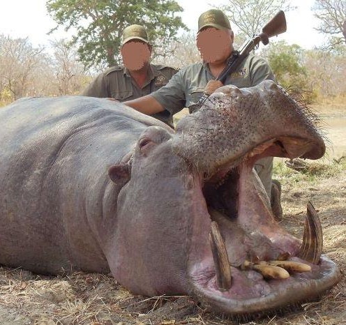 Leopard Hunting in Namibia & Brown Hyena Cancelation Hunt