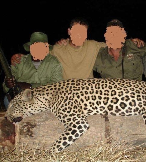 Leopard Hunting in Namibia & Brown Hyena Cancelation Hunt
