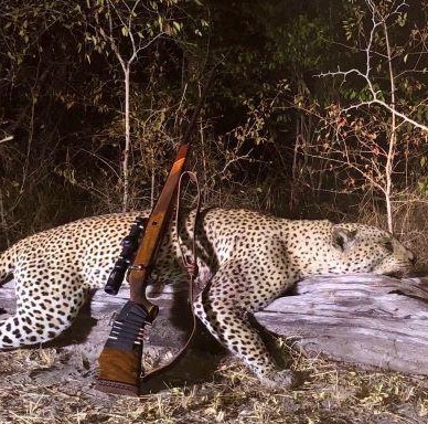 Leopard Hunting in Namibia & Brown Hyena Cancelation Hunt