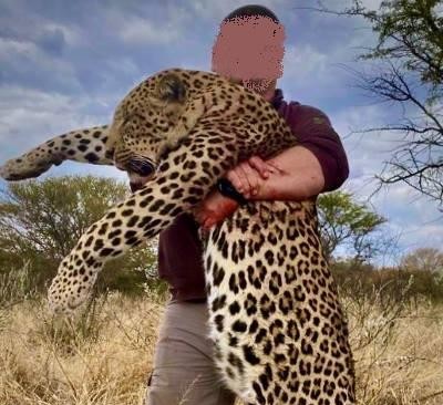 Leopard Hunting Trip, Big Cats in Bushmanland Botswana