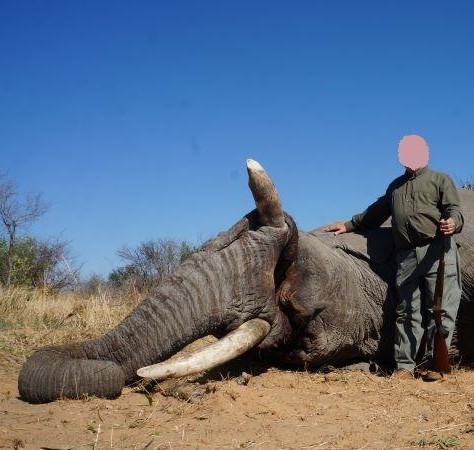 Leopard Hunting in Namibia & Brown Hyena Cancelation Hunt