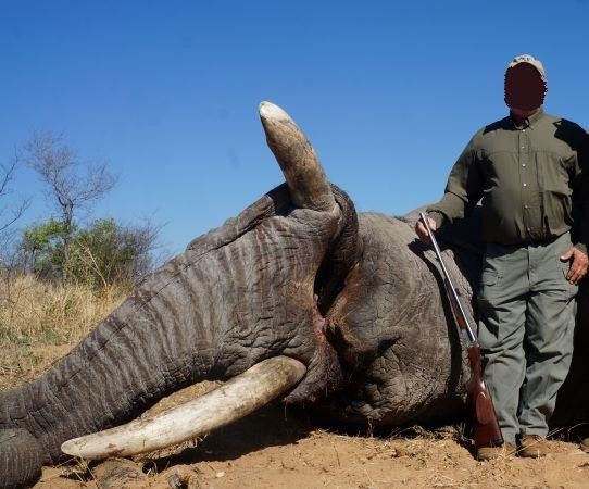 Leopard Hunting in Namibia & Brown Hyena Cancelation Hunt