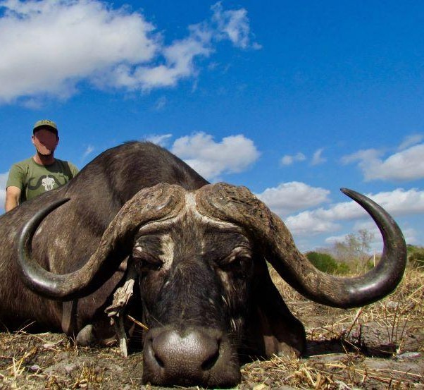 Leopard Hunting in Namibia & Brown Hyena Cancelation Hunt