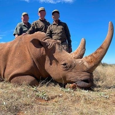 Cape Buffalo Hunt, Kudu, Eland Roan and Rhino Dart in SA