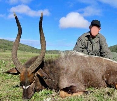 Leopard Hunting in Namibia & Brown Hyena Cancelation Hunt