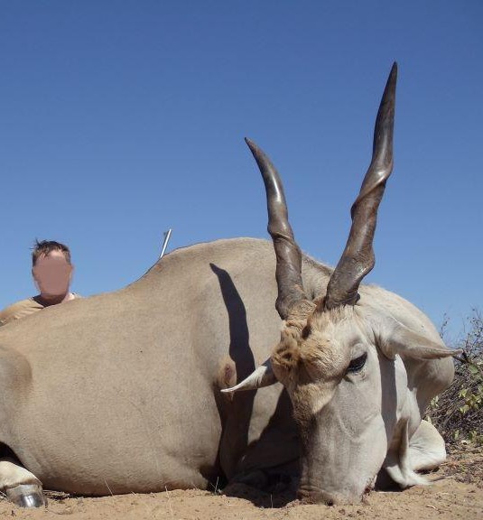 Leopard Hunting in Namibia & Brown Hyena Cancelation Hunt