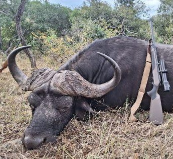 Leopard Hunting in Namibia & Brown Hyena Cancelation Hunt