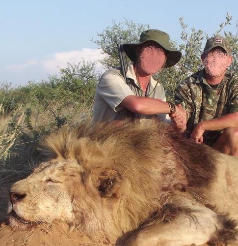 Lion Hunting Safari in Kalahari, South Africa