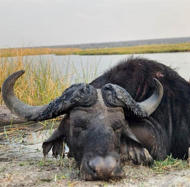 Leopard Hunting in Namibia & Brown Hyena Cancelation Hunt