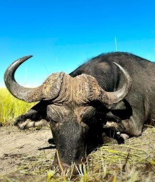 Leopard Hunting in Namibia & Brown Hyena Cancelation Hunt