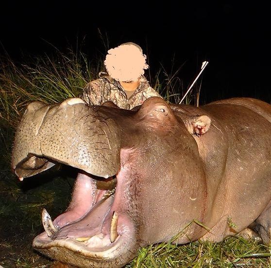 Hippo Hunting trip in SA, Plus Hyena, Bushpig & More!