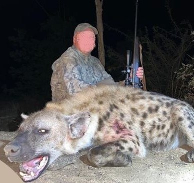 Leopard Hunting in Namibia & Brown Hyena Cancelation Hunt