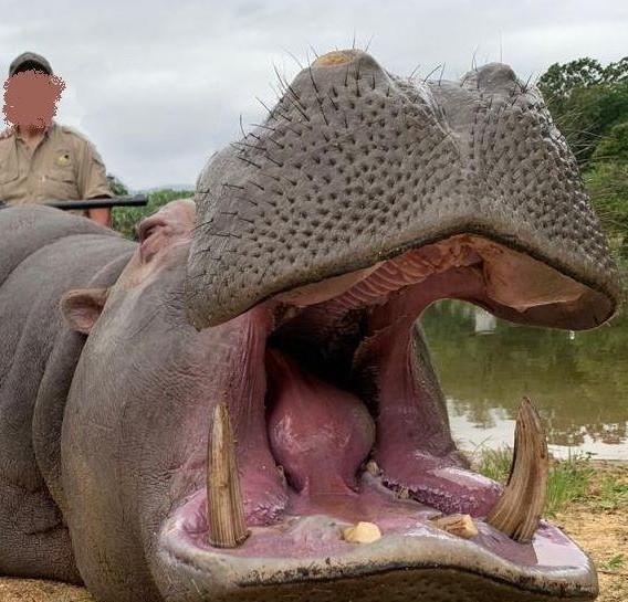 Leopard Hunting in Namibia & Brown Hyena Cancelation Hunt