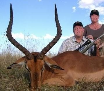 Exceptional Africa Plains Game Safari 5 x Species