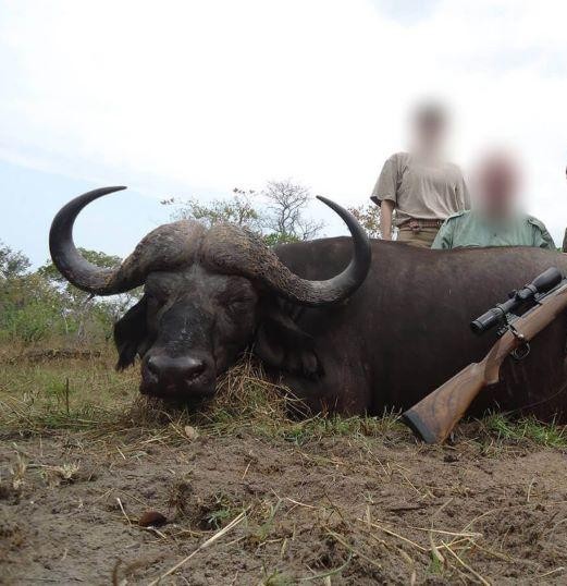 Leopard Hunting in Namibia & Brown Hyena Cancelation Hunt