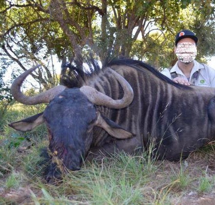 Leopard Hunting in Namibia & Brown Hyena Cancelation Hunt