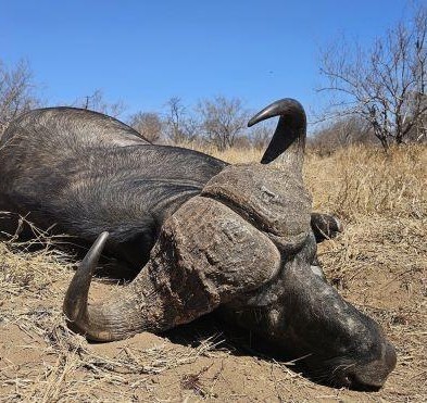 Leopard Hunting in Namibia & Brown Hyena Cancelation Hunt