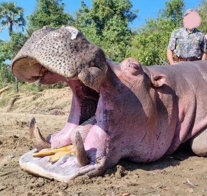 Leopard Hunting in Namibia & Brown Hyena Cancelation Hunt