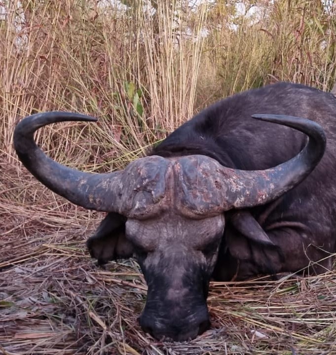 Leopard Hunting in Namibia & Brown Hyena Cancelation Hunt