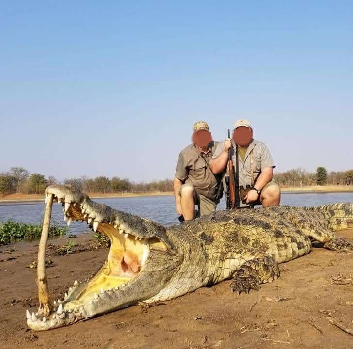 Leopard Hunting in Namibia & Brown Hyena Cancelation Hunt