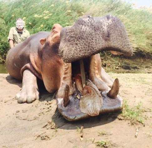 Leopard Hunting in Namibia & Brown Hyena Cancelation Hunt