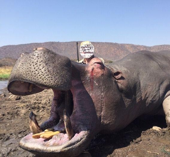 Leopard Hunting in Namibia & Brown Hyena Cancelation Hunt