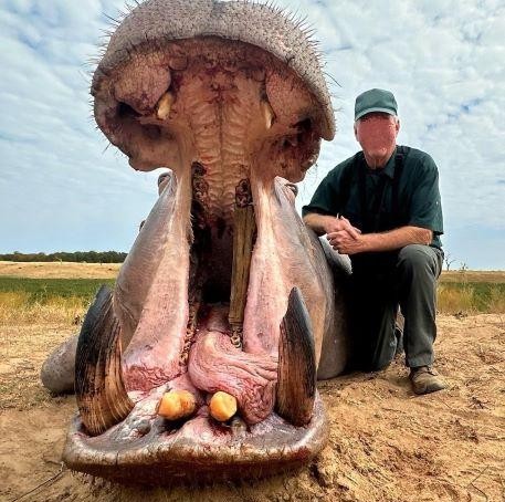 Leopard Hunting in Namibia & Brown Hyena Cancelation Hunt