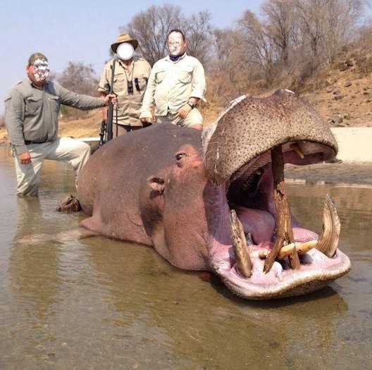 Leopard Hunting in Namibia & Brown Hyena Cancelation Hunt