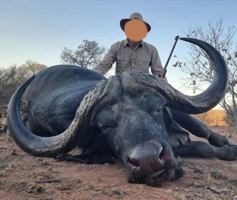 Leopard Hunting in Namibia & Brown Hyena Cancelation Hunt