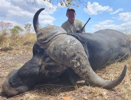 Epic Cape Buffalo Hunt in Mozambique’s Niassa Province 2:1 