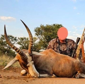 Leopard Hunting in Namibia & Brown Hyena Cancelation Hunt