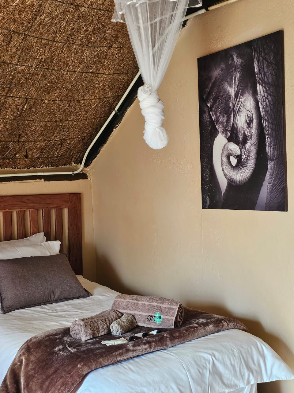 Leopard Hunting in Namibia & Brown Hyena Cancelation Hunt