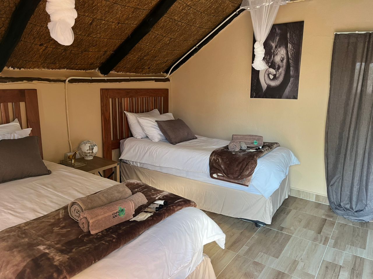 Leopard Hunting in Namibia & Brown Hyena Cancelation Hunt