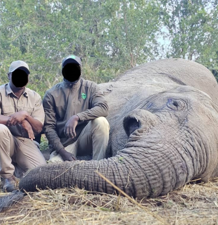 Leopard Hunting in Namibia & Brown Hyena Cancelation Hunt