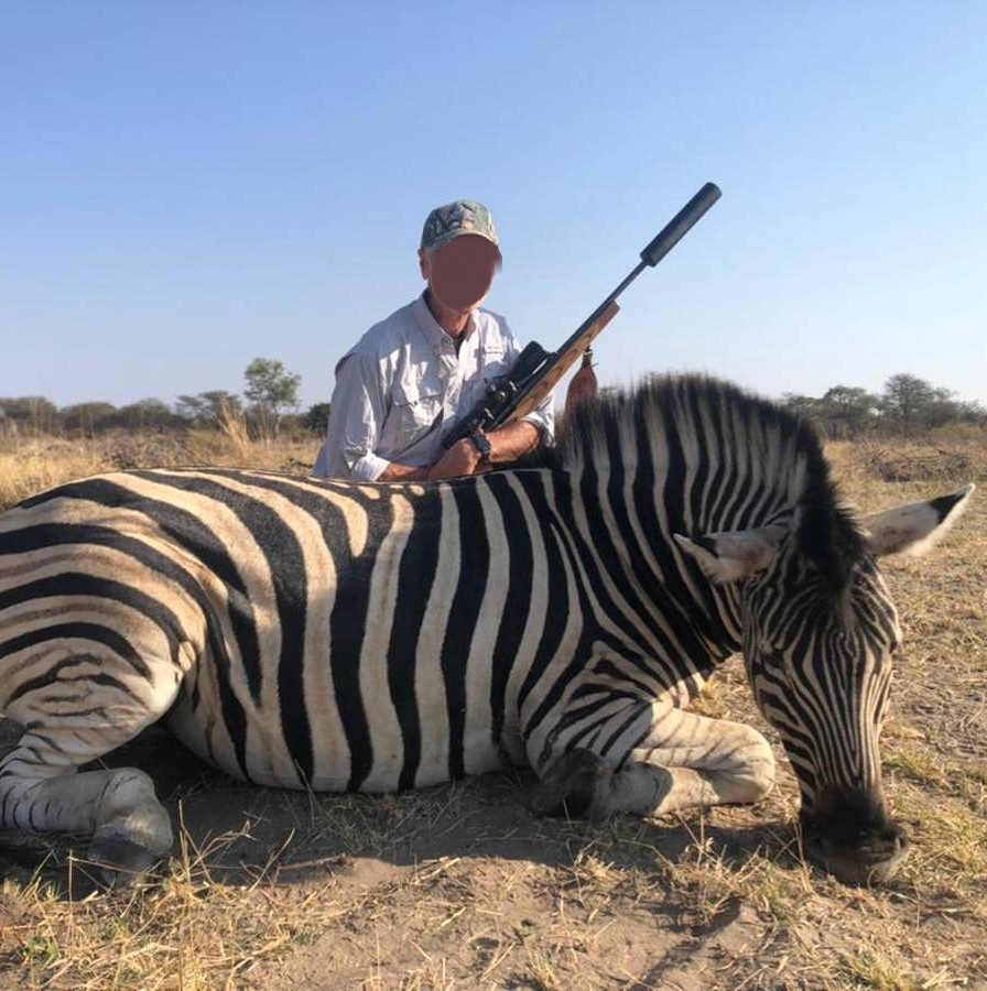 Zebra, Gemsbok & 3 More African Plains Game Species in Namibia 