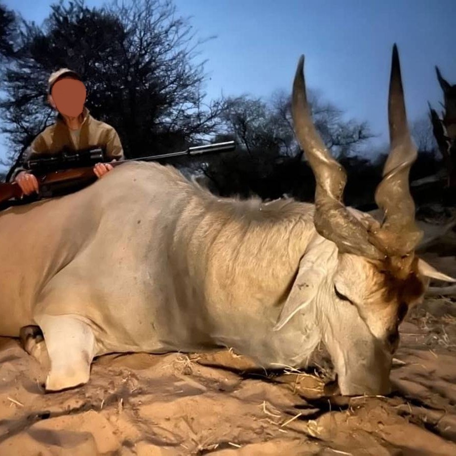 Iconic Plains Game Hunting in Namibia: Kudu, Eland & Giraffe