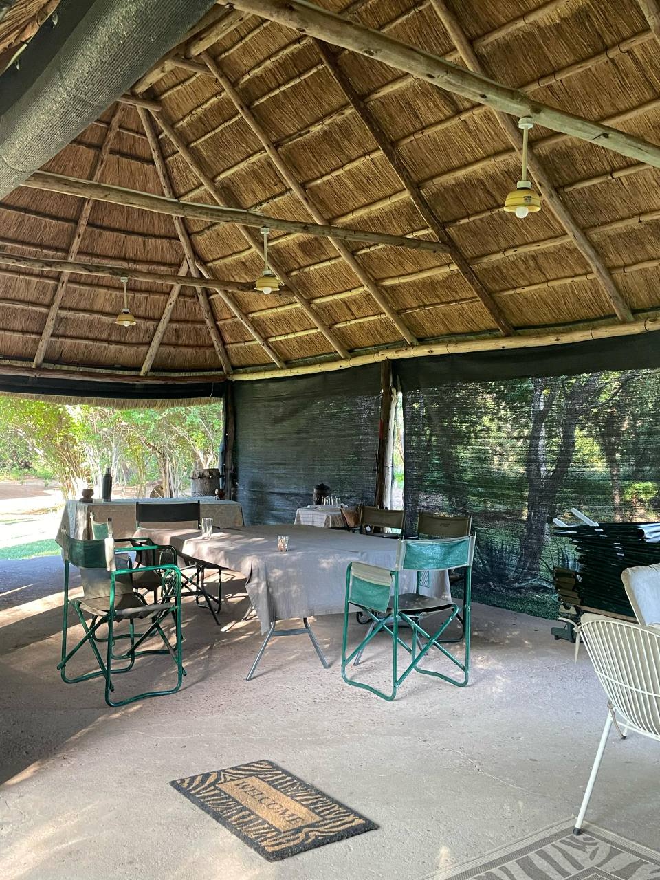 Leopard Hunting in Namibia & Brown Hyena Cancelation Hunt