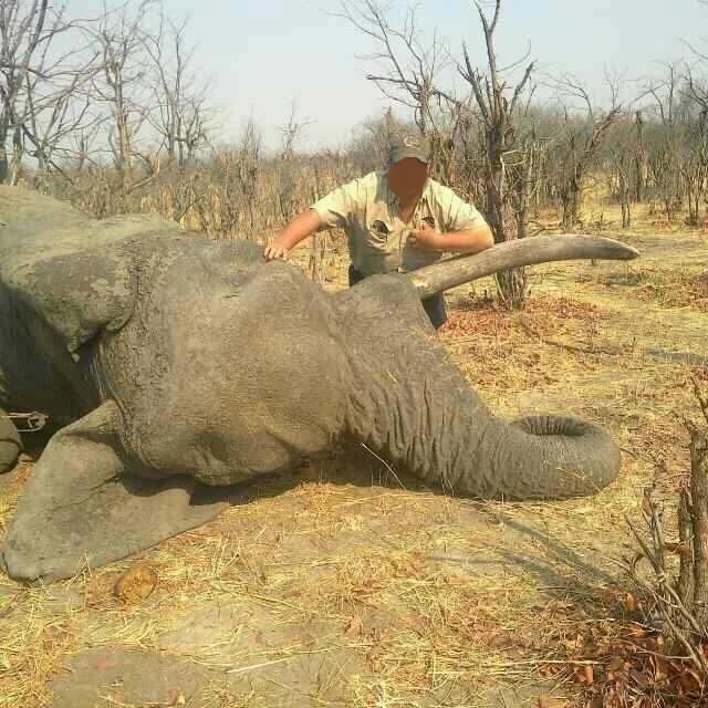 Leopard Hunting in Namibia & Brown Hyena Cancelation Hunt