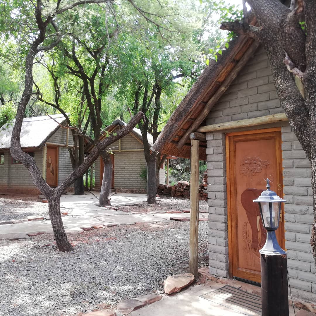 Leopard Hunting in Namibia & Brown Hyena Cancelation Hunt