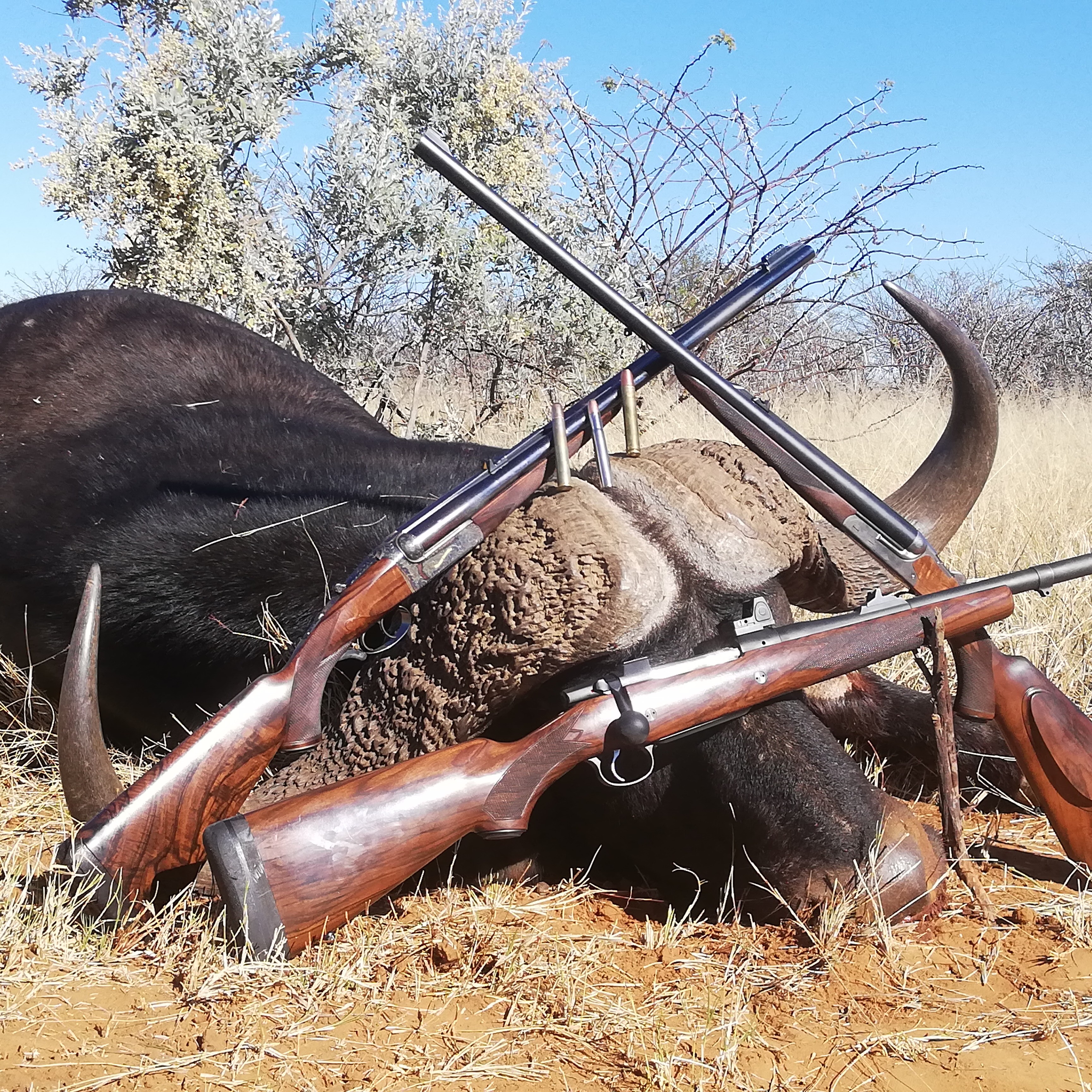 Leopard Hunting in Namibia & Brown Hyena Cancelation Hunt