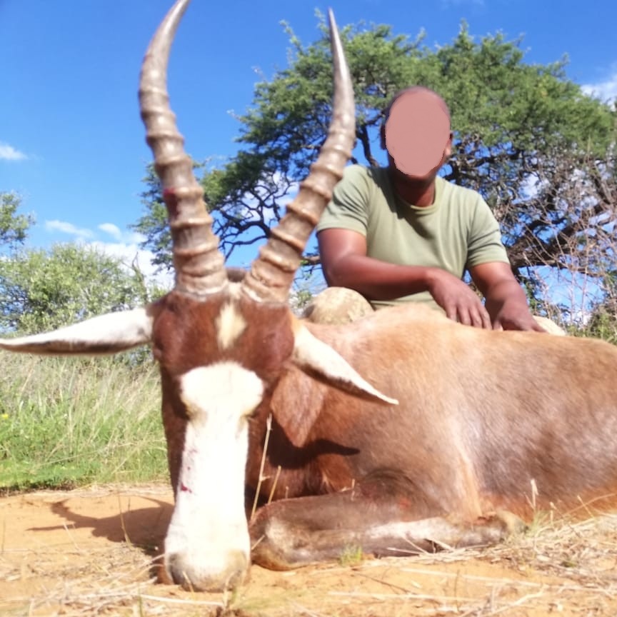 Leopard Hunting in Namibia & Brown Hyena Cancelation Hunt